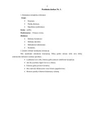 Įmonės rinkodara: grožio salonas "Alioksa" 4 puslapis