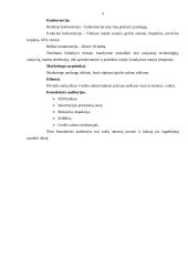 Įmonės rinkodara: grožio salonas "Alioksa" 6 puslapis