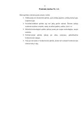 Įmonės rinkodara: grožio salonas "Alioksa" 7 puslapis