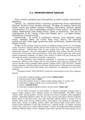 Įmonės rinkodara: proginių suknelių nuoma "Malonumas" 4 puslapis