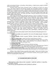 Įmonės rinkodara: proginių suknelių nuoma "Malonumas" 5 puslapis