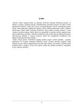 Įmonės veiklos organizavimas, teorinė ir praktinė lyginamoji analizė 4 puslapis