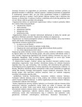 Įmonės veiklos organizavimas, teorinė ir praktinė lyginamoji analizė 7 puslapis