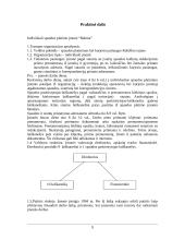 Įmonės veiklos organizavimas, teorinė ir praktinė lyginamoji analizė 9 puslapis