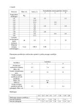 Įmonės veiklos planas 2 puslapis