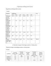 Įmonės veiklos planas 5 puslapis