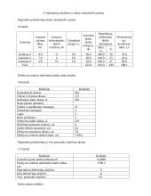 Įmonės veiklos planas 6 puslapis