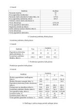 Įmonės veiklos planas 7 puslapis