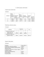 Įmonės veiklos planas 9 puslapis