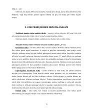 Įmonės “X“ verslo rizika ir jos mažinimo galimybės 12 puslapis
