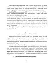 Įmonės “X“ verslo rizika ir jos mažinimo galimybės 14 puslapis