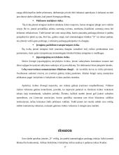 Įmonės “X“ verslo rizika ir jos mažinimo galimybės 16 puslapis