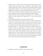 Įmonės “X“ verslo rizika ir jos mažinimo galimybės 17 puslapis