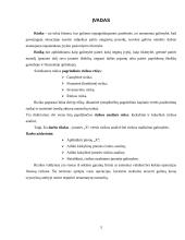 Įmonės “X“ verslo rizika ir jos mažinimo galimybės 2 puslapis