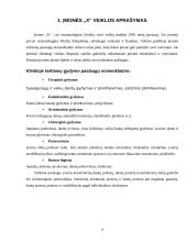 Įmonės “X“ verslo rizika ir jos mažinimo galimybės 3 puslapis