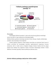 Įmonės “X“ verslo rizika ir jos mažinimo galimybės 4 puslapis