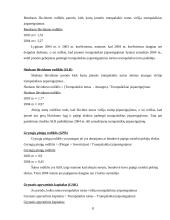 Įmonės “X“ verslo rizika ir jos mažinimo galimybės 7 puslapis