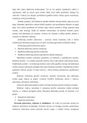 Individualios darbuotojų veiklos planavimas 2 puslapis