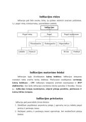 Infliacijos tempų palyginamoji analizė 3 puslapis
