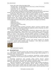 Informatikos kontrolinis darbas 9 puslapis