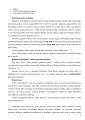 Inovacinių idėjų naujam produktui generavimas ir vertinimas: spaustuvė UAB "Garsų pasaulis" 5 puslapis