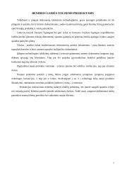 Inovacinių idėjų naujam produktui generavimas ir vertinimas: spaustuvė UAB "Garsų pasaulis" 7 puslapis