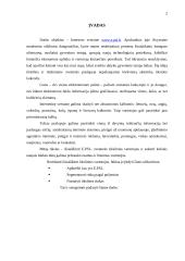 Interneto svetainės tiksinė rinka: www.e.psl.lt 3 puslapis