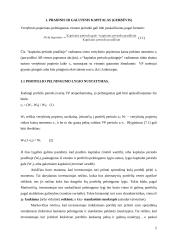 Investicinio portfelio pasirinkimo problema 2 puslapis