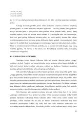 Investicinio portfelio pasirinkimo problema 12 puslapis