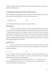 Investicinio portfelio pasirinkimo problema 13 puslapis