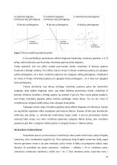 Investicinio portfelio pasirinkimo problema 14 puslapis