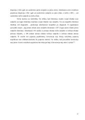 Investicinio portfelio pasirinkimo problema 17 puslapis