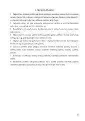 Investicinio portfelio pasirinkimo problema 18 puslapis