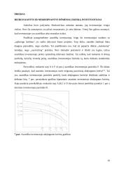 Investicinio portfelio pasirinkimo problema 19 puslapis