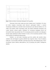 Investicinio portfelio pasirinkimo problema 20 puslapis