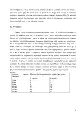 Investicinio portfelio pasirinkimo problema 3 puslapis