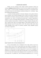 Investicinio portfelio pasirinkimo problema 4 puslapis