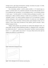 Investicinio portfelio pasirinkimo problema 5 puslapis