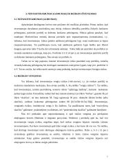 Investicinio portfelio pasirinkimo problema 7 puslapis