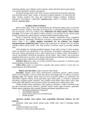 Investicinių projektų įvertinimo metodai 6 puslapis