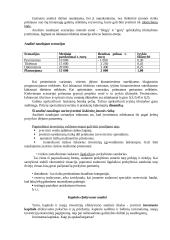 Investicinių projektų įvertinimo metodai 7 puslapis