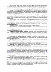 Investicinių projektų įvertinimo metodai 8 puslapis