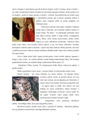 Ekskursija po Ispaniją 11 puslapis