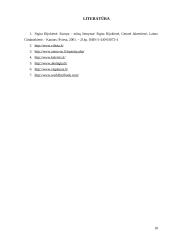 Ekskursija po Ispaniją 17 puslapis