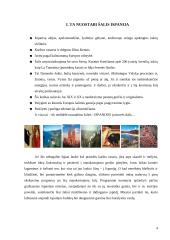 Ekskursija po Ispaniją 3 puslapis