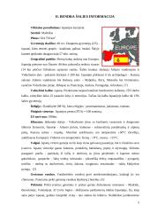 Ekskursija po Ispaniją 4 puslapis