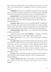 Ekskursija po Ispaniją 5 puslapis