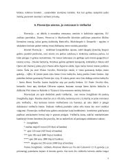 Kelionių organizavimas - Italija 9 puslapis