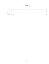 Jaunimo bendravimo internetu problemos 2 puslapis