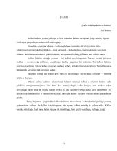 Jaunimo bendravimo internetu problemos 3 puslapis